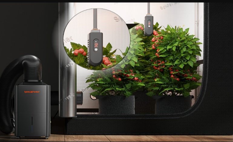 Grow Beyond Seasons: Full Spectrum LED Lights for Indoor Gardens & Farms
