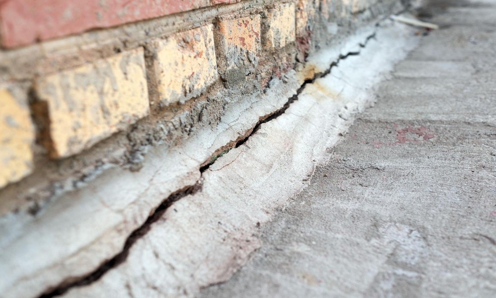 Common Infestations That Can Start with a Crack in the Foundation in Hinsdale