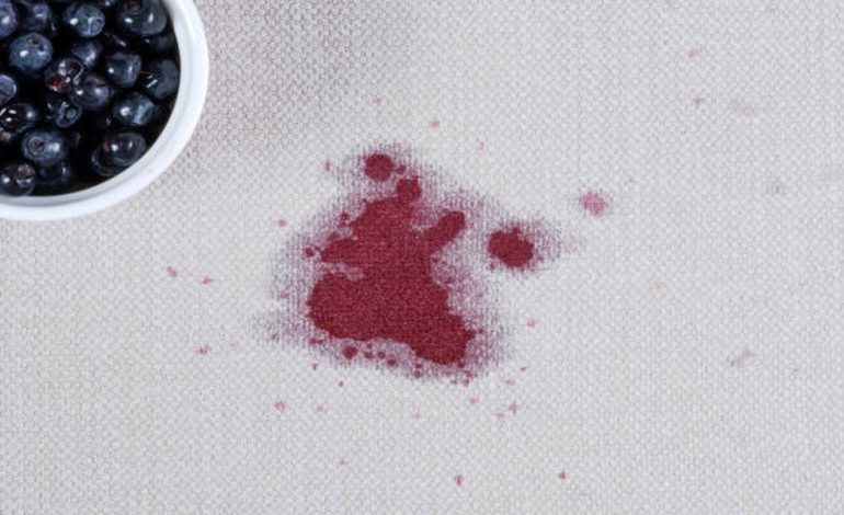 Common Household Stains Fiber ProTector Treatment Can Help Prevent